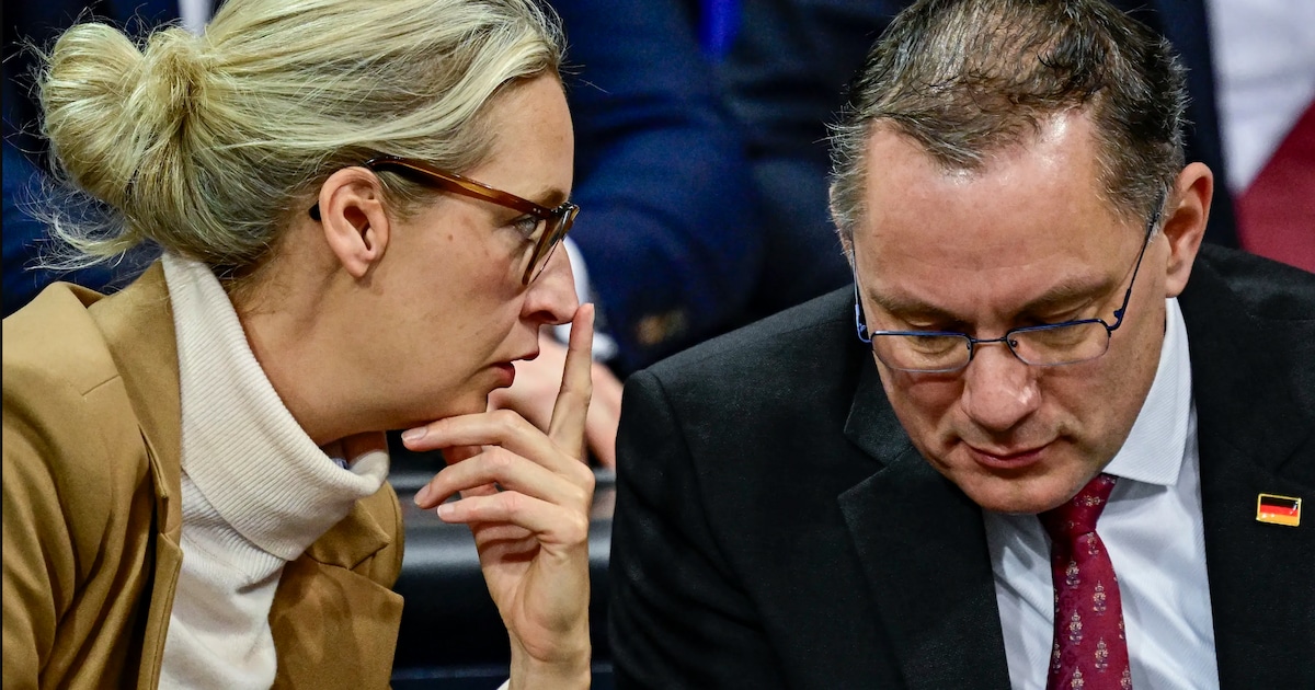 The Office for the Protection of the Constitution is not allowed to classify the AfD as definitely right-wing extremist for the time being