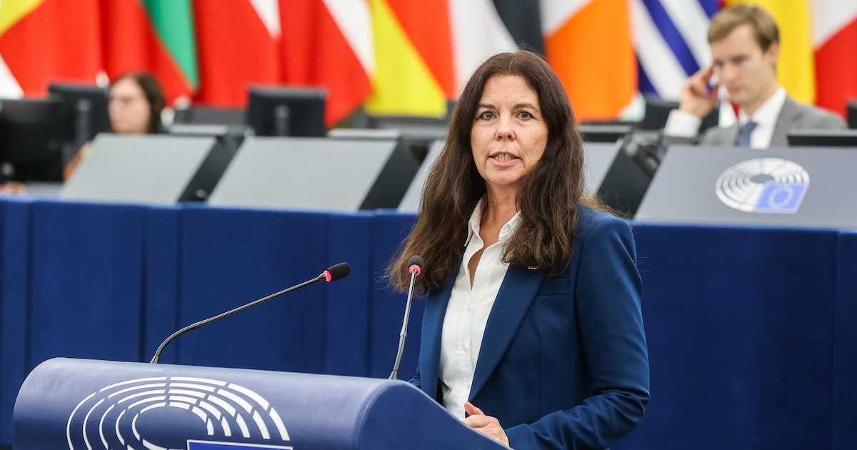 AfD MPs make serious allegations of corruption – FOCUS online