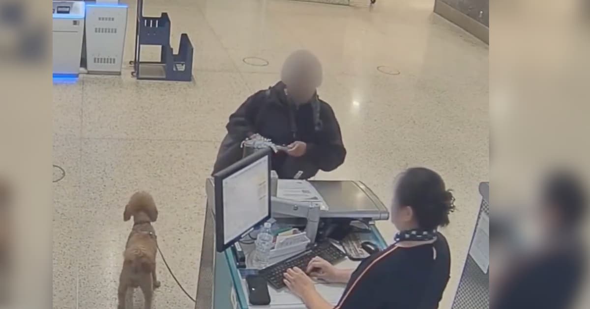 Woman leaves dog at airport – and is arrested