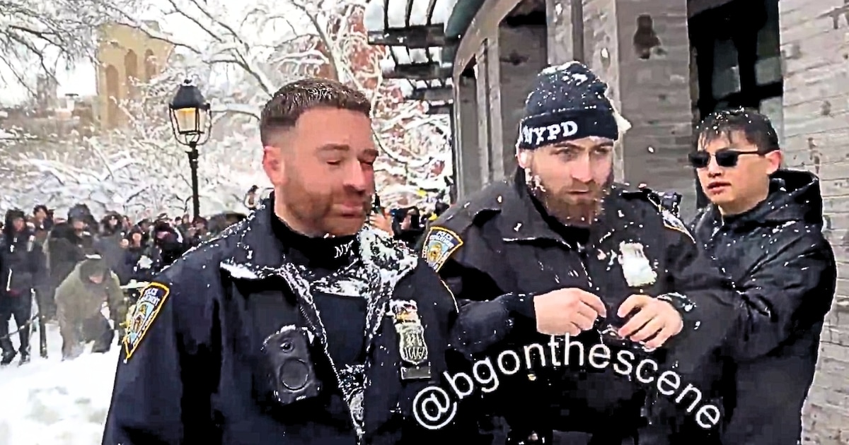 Passers-by attack police officers with snowballs