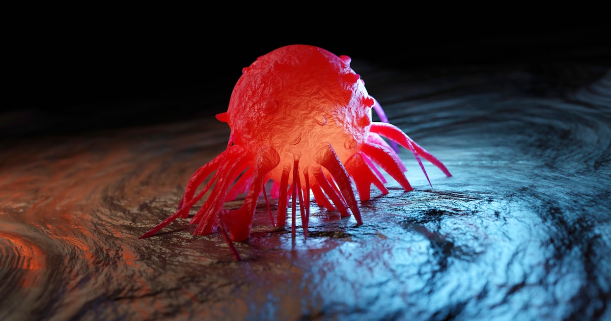 Researchers discover: fructose causes tumor cells to grow