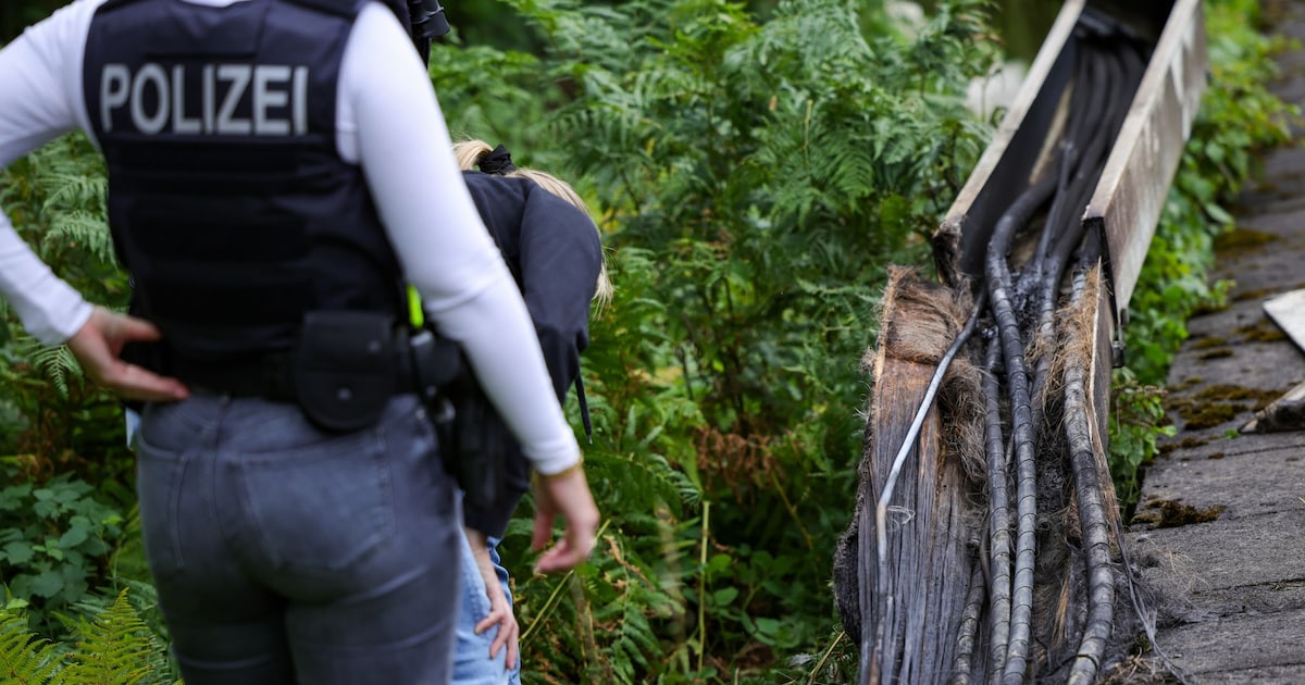 Rail and Tesla in sight: number of left-wing crimes explodes