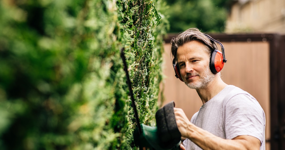 Changes in March: New Schufa score, less pension and hedge rules