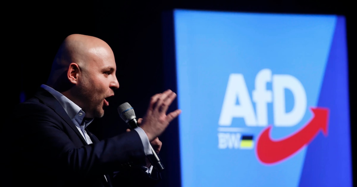 For the AfD “kampfzwerg” it is a poisonous success