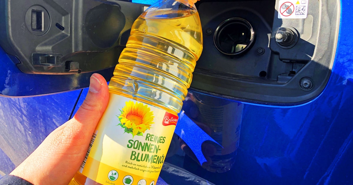 Diesel usury: Filling up with cooking oil is tax fraud