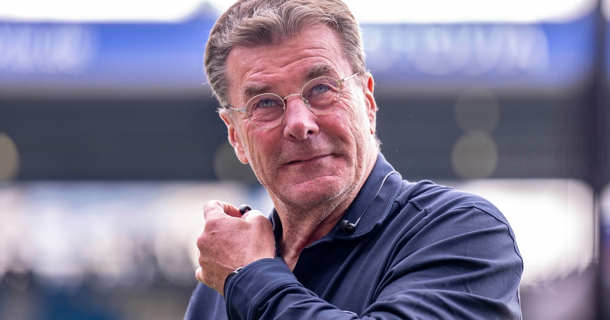 Dieter Hecking is the new coach at VfL Wolfsburg