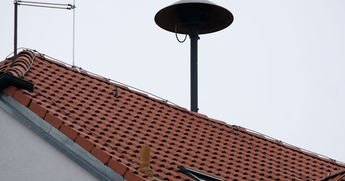 Warning day lets cat warning apps and sirens scream