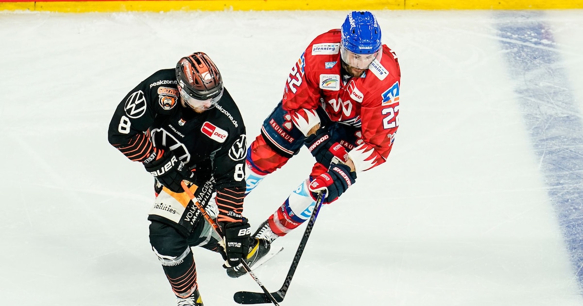 Ice hockey professional collapses and has to be revived