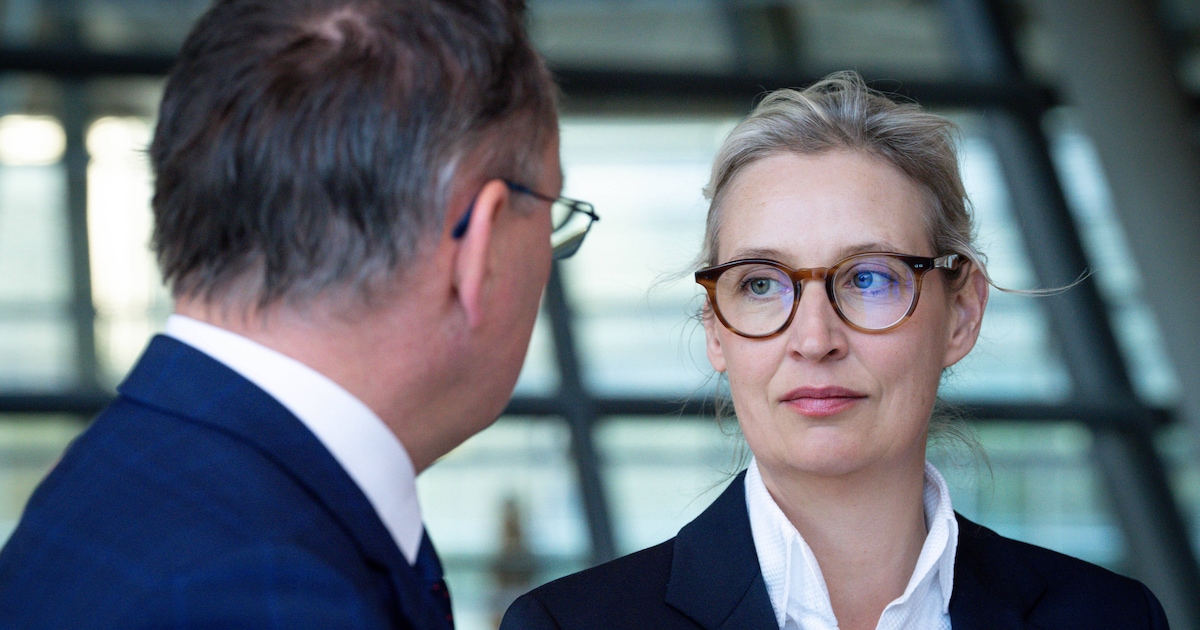 The AfD’s secret to success: “swimming belt” for fans and non-voters