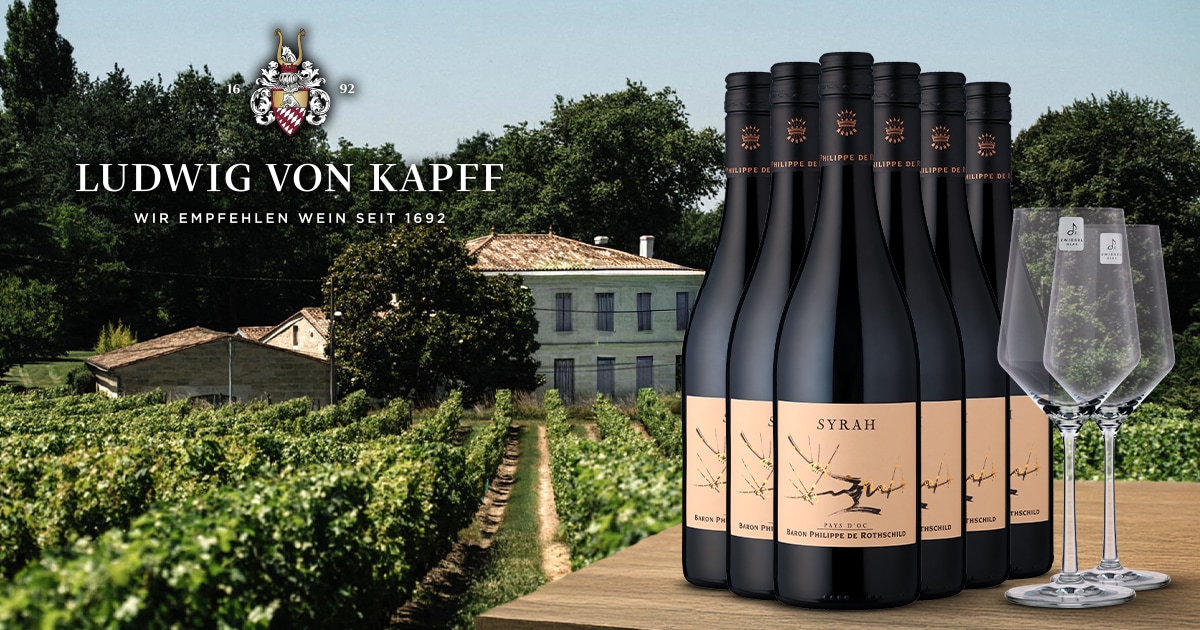 Syrah red wine on offer: 6 bottles from France for 39.90 euros