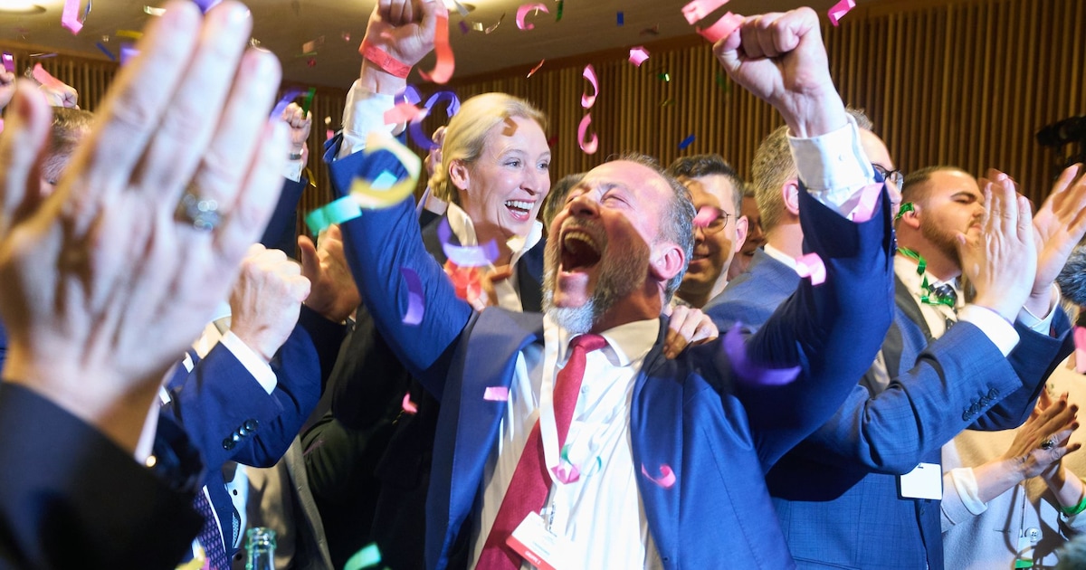 20 percent party: The AfD’s success provides depressing lessons for our system