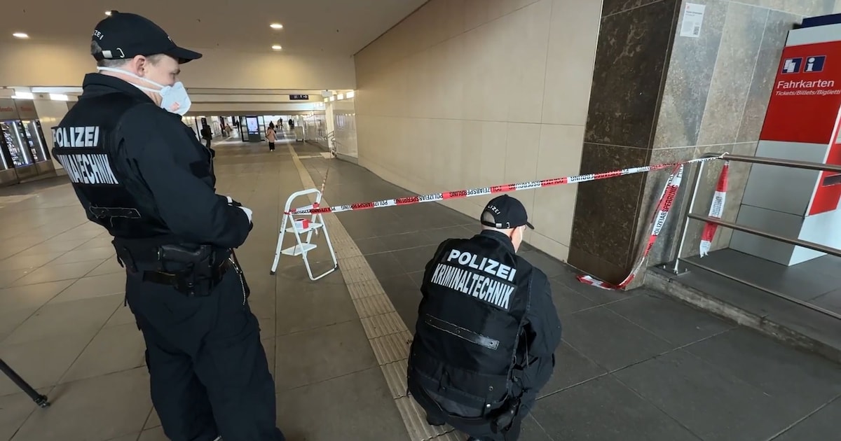 Knife attacker from Würzburg main station is dead