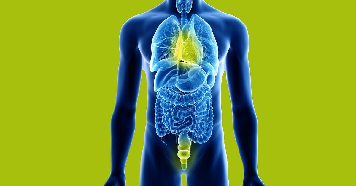 “The penis is the antenna to the heart”