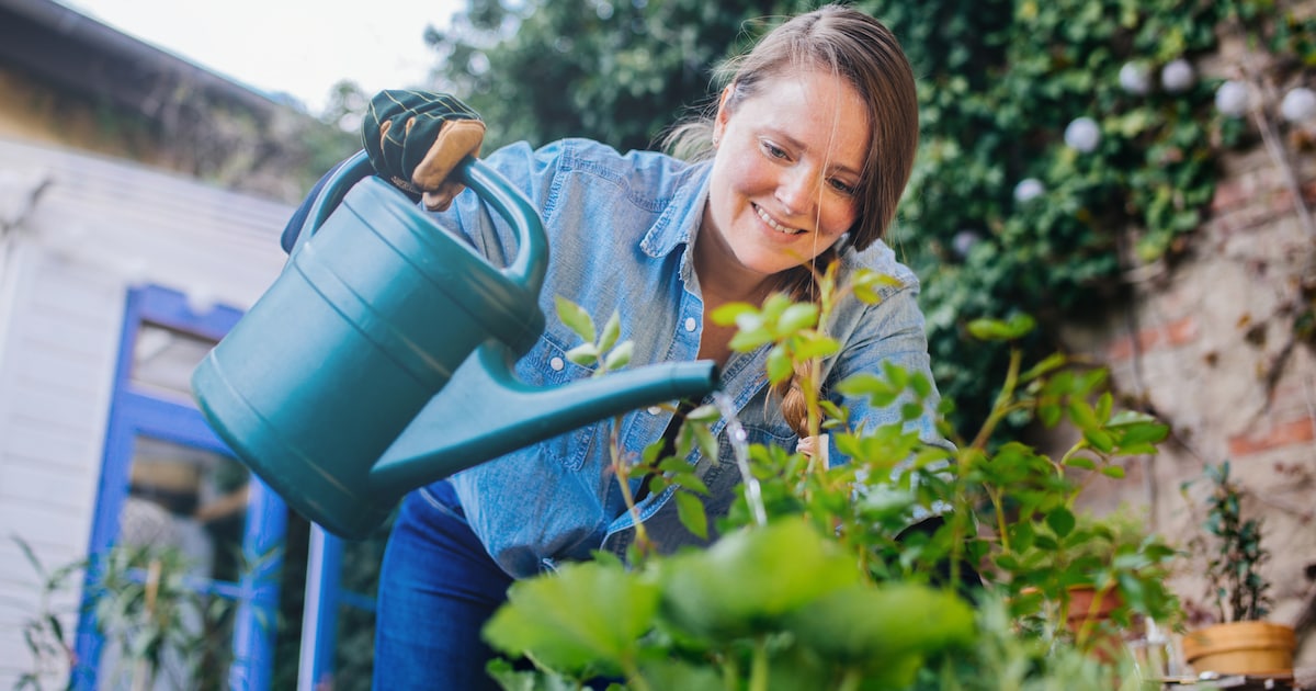 Still in March: Which plants you should sow in the next few days