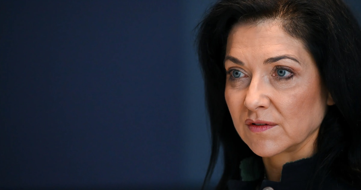 Reiche has the cartel office check record prices at gas stations