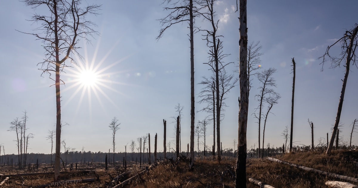 25 billion tons are missing – Germany’s water storage tanks are overflowing