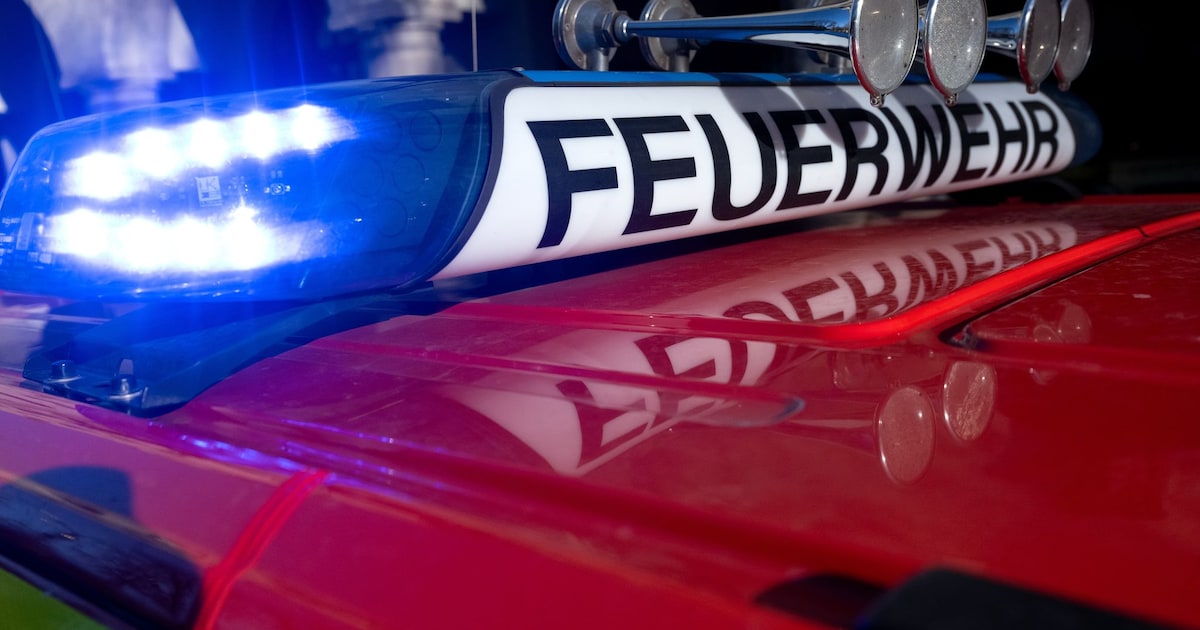 AfD member sets his own car on fire and blames Antifa