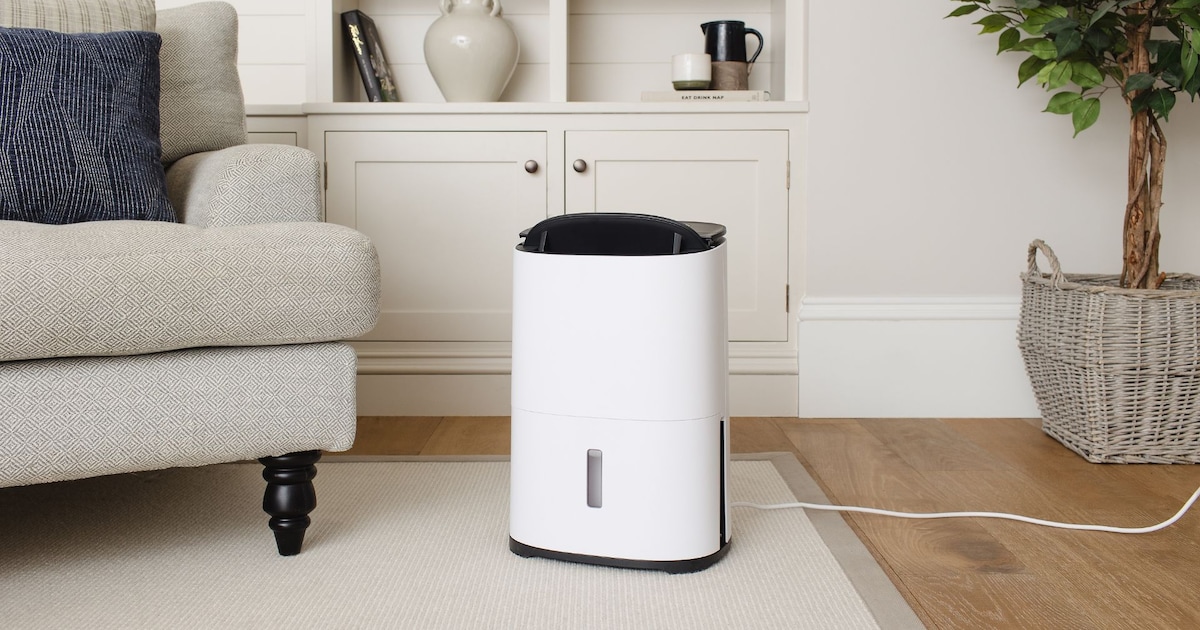 MeacoDry Arete 10L – dry home here at the best price