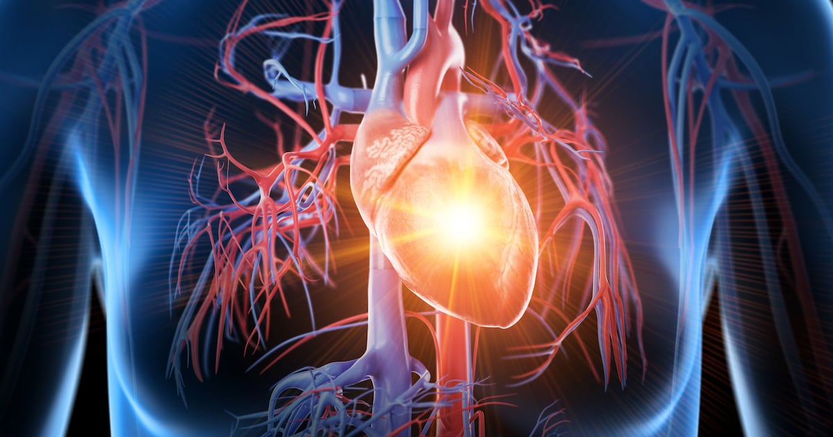 Cardiologists protect their hearts with these 3 everyday habits