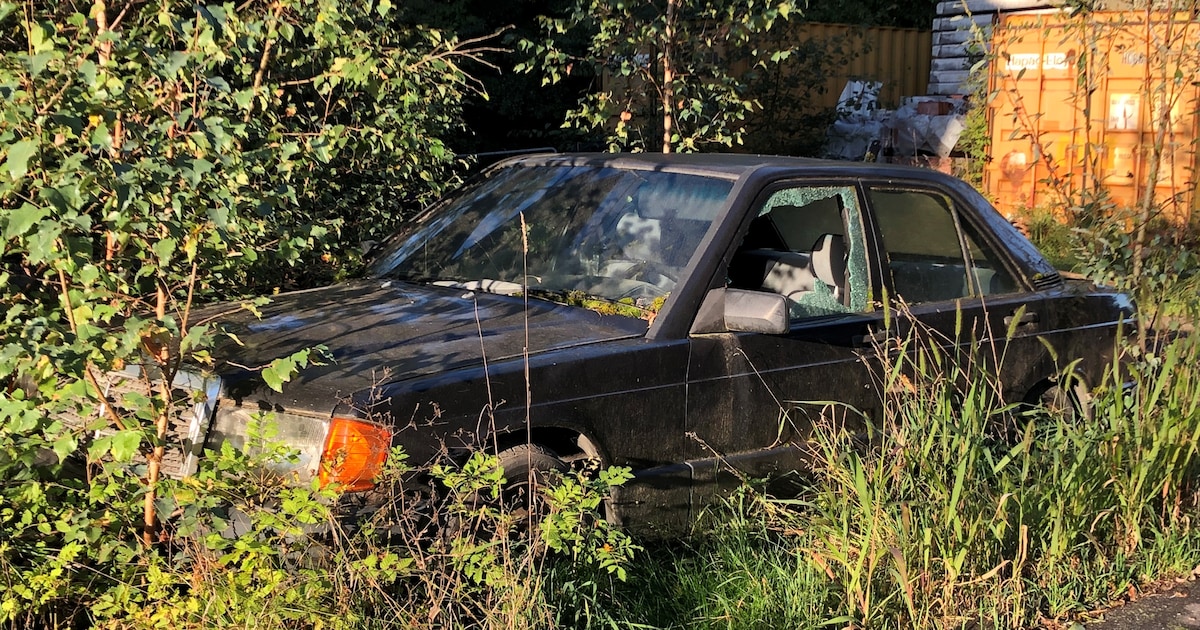 EU plans stricter rules for old cars